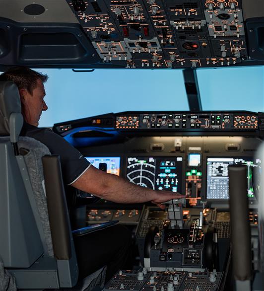 Someone using the flight simulator