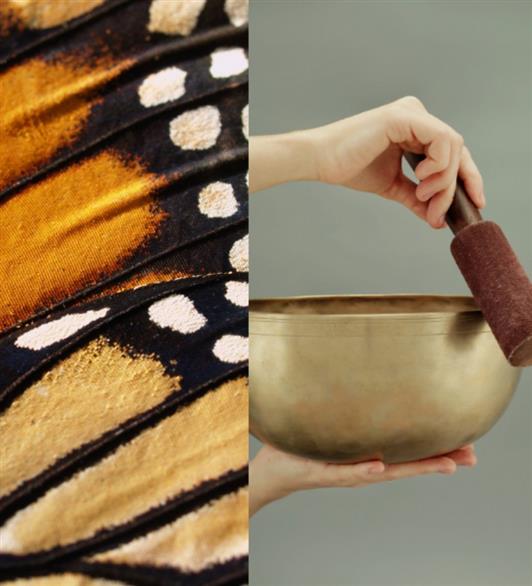 A butterfly wing next to a sound bath bowl
