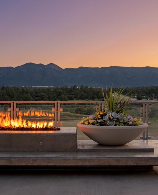 A plant next to a firepit and a mountain range in the background during sunset