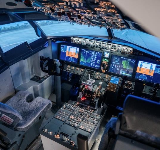 Flight Simulator
