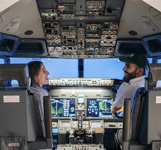 Flight Simulator