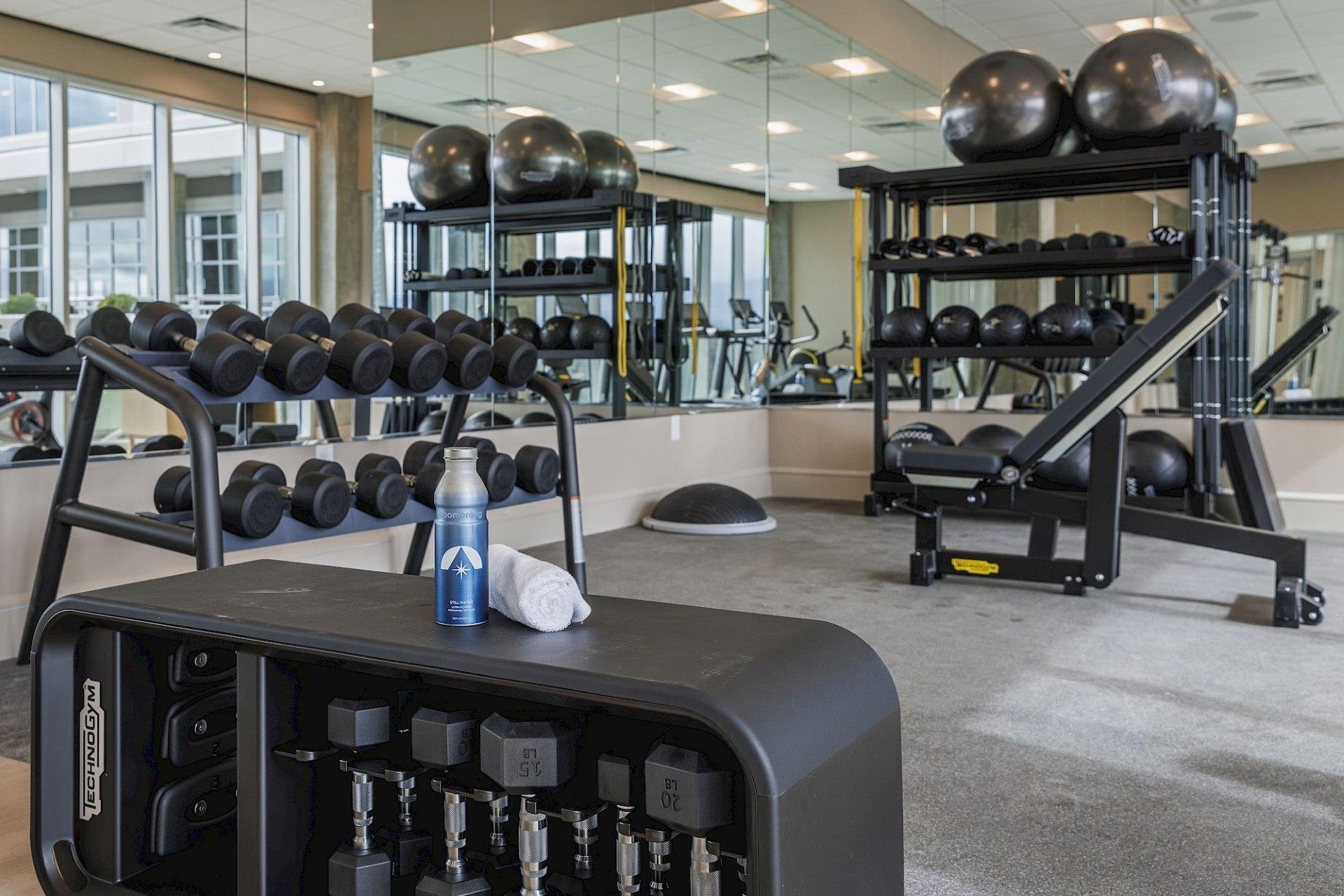 Modern fitness center with dumbbells, weight-training equipment, exercise balls, mirrored walls, and large windows.