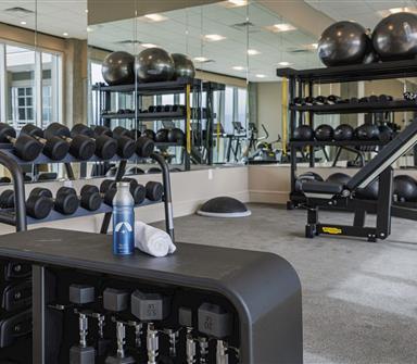 Modern fitness center with dumbbells, weight-training equipment, exercise balls, mirrored walls, and large windows.